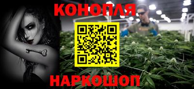 шишки Тулун