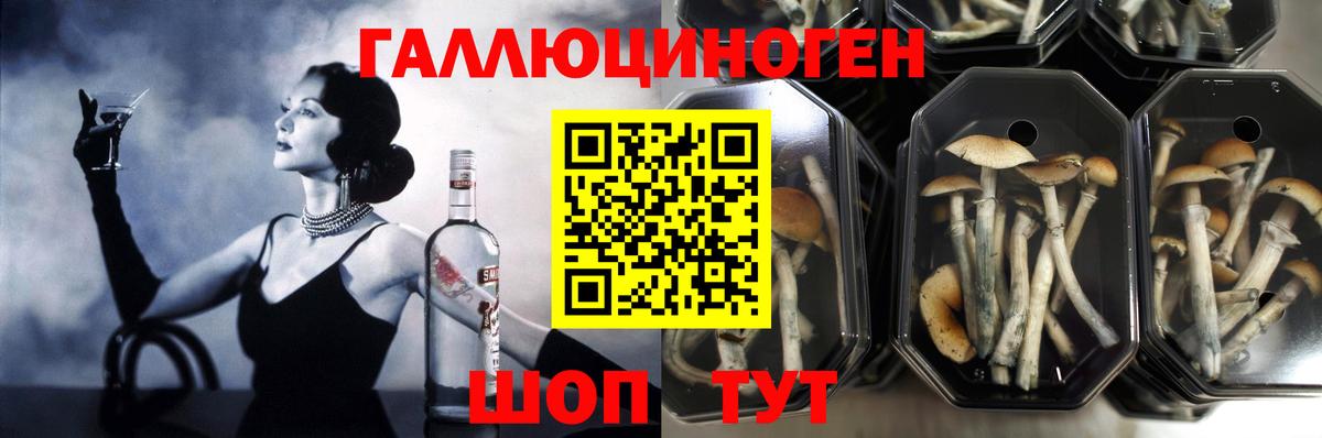 Галлюциногенные грибы прущие грибы  Вход с VPN  наркотики  Псилоцибиновые грибы Magic Shrooms  Кыштым 